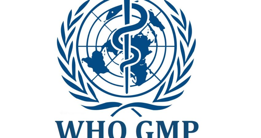 gmp-who